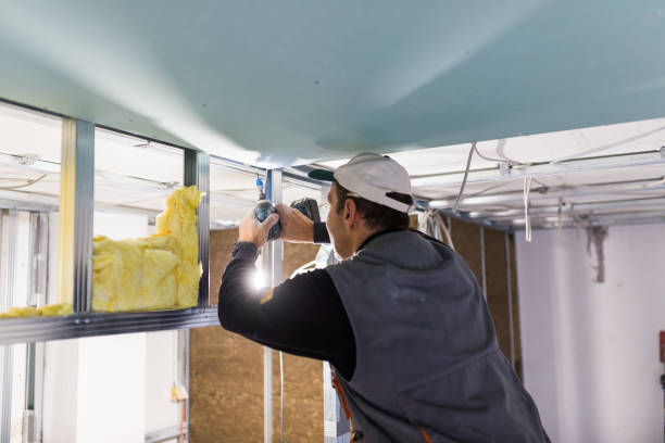 Best Insulation Installation Cost  in USA